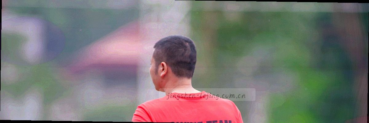 足球篮球网球等十二个体育项目的图标与数据网格